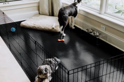 Image showing  Ceramic Texture Vinyl Pet Floor Protector, 5 ft. x 10 ft., Midnight Black