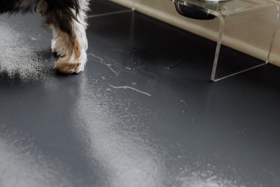 Image showing  Ceramic Texture Vinyl Pet Floor Protector, 5 ft. x 10 ft., Slate Grey