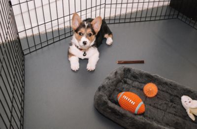 Image showing 6 th G-Floor Ceramic Texture Vinyl Pet Floor Protector, 5 ft. x 10 ft., Slate Grey