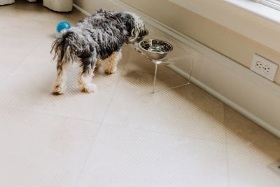 Image showing  Ribbed Vinyl Pet Floor Protector, 55 Mil