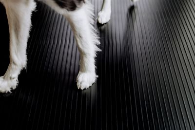 Image showing  Ribbed Vinyl Pet Floor Protector, 55 Mil