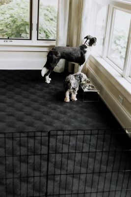 Image showing  Levant Pattern Vinyl Pet Floor Protector, 7.5 ft. x 17 ft., Midnight Black