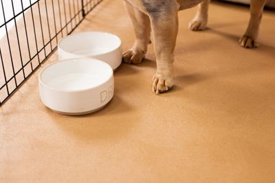 Image showing  Levant Pattern Vinyl Pet Floor Protector - 7.5 ft. x 17 ft. - Sandstone