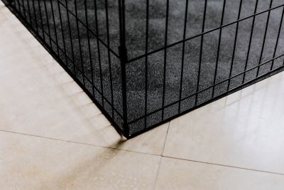 Image showing  55 Mil Levant Vinyl Pet Floor Protector, Sandstone