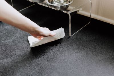 Image showing  55 Mil Levant Vinyl Pet Floor Protector, Sandstone