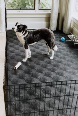 Image showing  55 Mil Levant Vinyl Pet Floor Protector, Sandstone