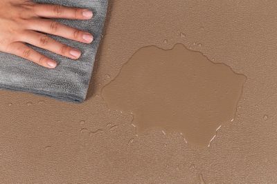 Image showing  55 Mil Levant Vinyl Pet Floor Protector, Sandstone