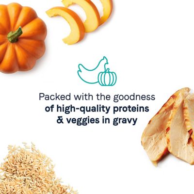 Image showing 5 th Canidae Balanced Bowl Chicken & Pumpkin Chicken Cat Food Recipe, 3 oz.