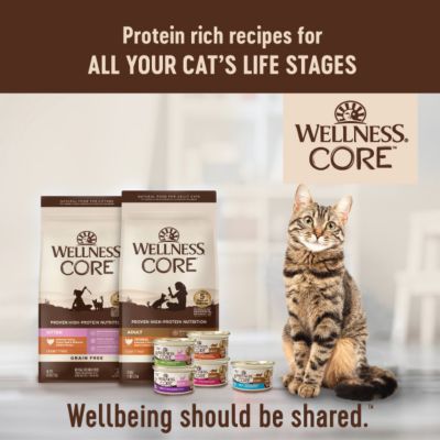 Image showing 7 th Wellness CORE Tiny Tasters Tuna Pate Wet Cat Food, 1.75 oz.