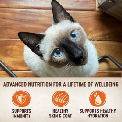 Image showing  CORE Tiny Tasters Seafood & Poultry Variety Pack Wet Cat Food, 1.75 oz., 12 ct.