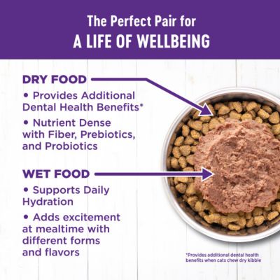 Image showing 5 th Wellness Complete Health Pate Grain-Free Adult Wet Cat Food Chicken & Turkey Variety pk., 3 oz. Cans, Pack of 12