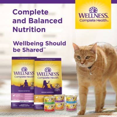 Image showing 8 th Wellness Complete Health Pate Grain-Free Adult Wet Cat Food Chicken & Turkey Variety pk., 3 oz. Cans, Pack of 12