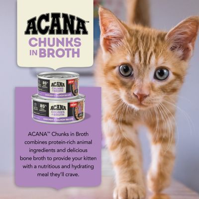 Image showing 5 th ACANA Premium Pate, Chicken & Tuna Kitten Recipe Wet Cat Food, 3 oz.