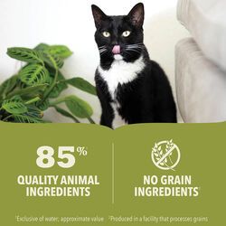 Image showing  Premium Pate, Beef, Chicken & Tuna Recipe Wet Cat Food, 3 oz.