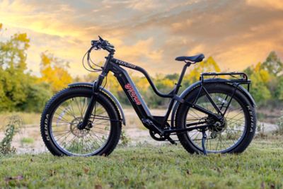 Young Electric E-Explorer Off-Road E-Bike, 1000W, Black, Size S, Single Battery, 12803003SFBLK