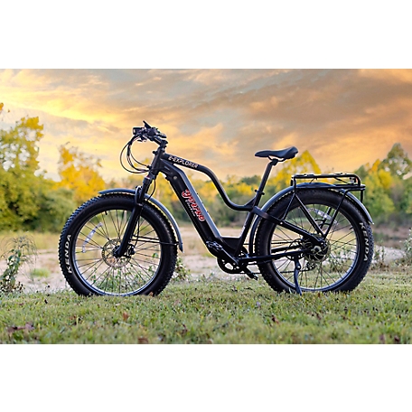 Young Electric E-Explorer Off-Road E-Bike, 1000W, Black, Size S, Single Battery, 12803003SFBLK