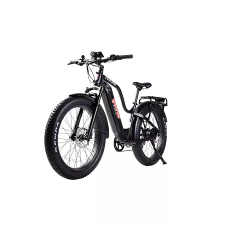 Young Electric Unisex E-Explorer 7-Speed Off-Road Electric Bike 1000W Black Small Single Battery Electric Bikes