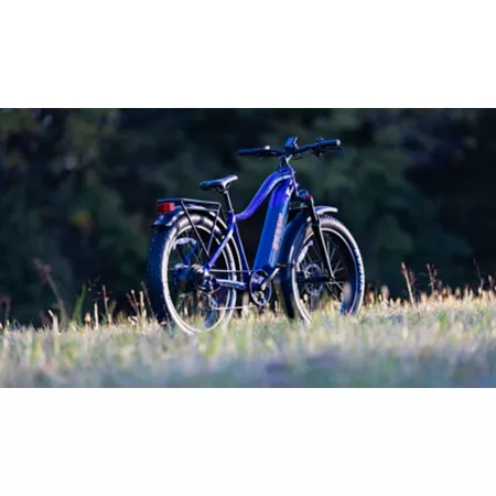 Young Electric E-Scout Fat Tire Off-Road Electric Bike 750W 48V 15Ah BLUE 12803010BLU Electric Bikes