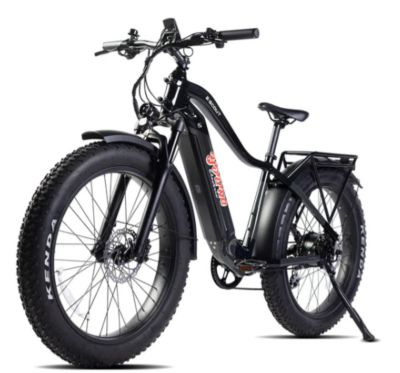 Young Electric E-Scout Off-Road/Fat Tire Electric Bicycle, 12803010BLK