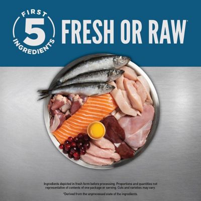 Image showing  Premium Immune, Digestive, Heart Health Guardian 8 Recipe Adult Cat Food, 10 lb.