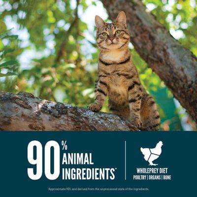 Image showing  Premium Immune, Digestive, Heart Health Guardian 8 Recipe Adult Cat Food, 10 lb.