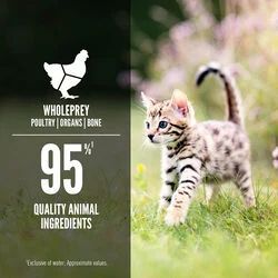 Image showing  Chicken & Salmon Entree Wet Kitten Food, 3 oz.