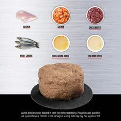 Image showing  Chicken & Salmon Entree Wet Kitten Food, 3 oz.