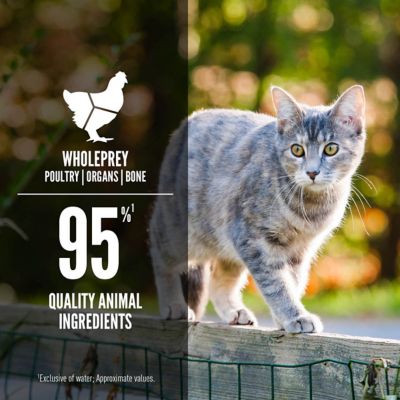 Image showing  Original Entree in Bone Broth Recipe Wet Cat Food 3 oz.