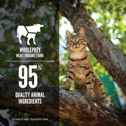 Image showing  Tuna, Salmon & Beef Entree Wet Cat Food, 3 oz.