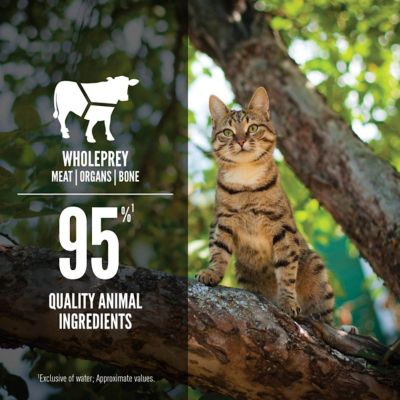 Image showing 4 th ORIJEN Regional Red Entree in Bone Broth Recipe Wet Cat Food 3 oz.