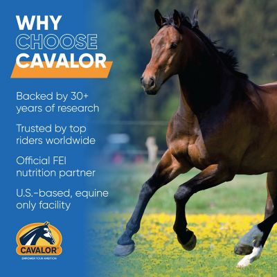 Image showing  Crunchies Horse Treats