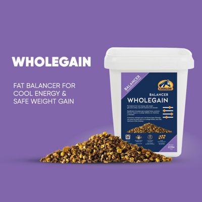 Image showing  WholeGain High-Fat Concentrated Horse Feed Mix