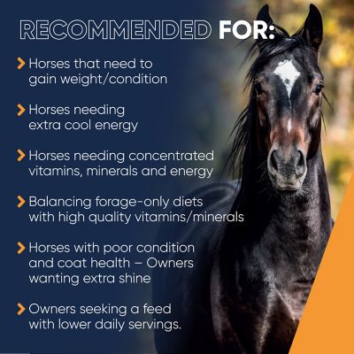 Image showing  WholeGain High-Fat Concentrated Horse Feed Mix