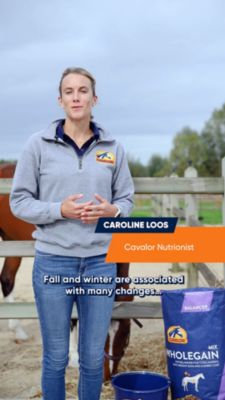 Image showing  WholeGain High-Fat Concentrated Horse Feed Mix