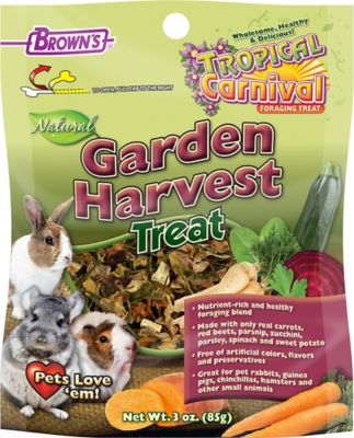 Tropical Carnival Garden Harvest Small Animal Treat