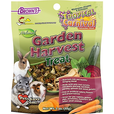 Tropical Carnival Garden Harvest Small Animal Treat