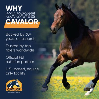 Image showing  Fiberforce Horse Feed