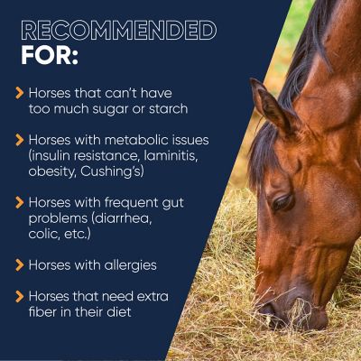 Image showing  Fiberforce Horse Feed