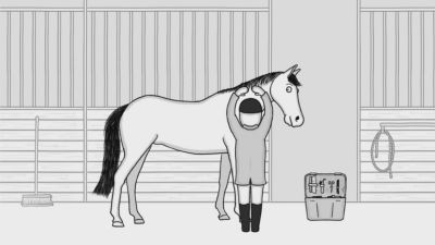 Image showing  Fiberforce Horse Feed