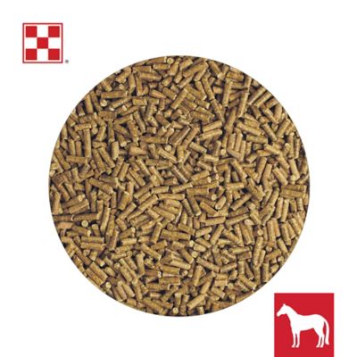 Image showing  SuperSport Amino Acid Horse Supplement