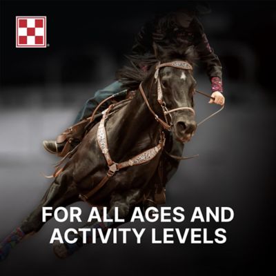 Image showing  Outlast Gastric Support Horse Supplement