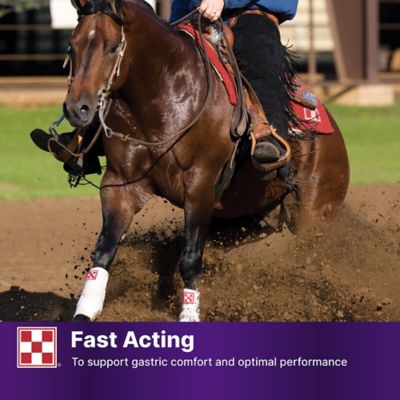 Image showing 5 th Purina Outlast Gastric Support Horse Supplement