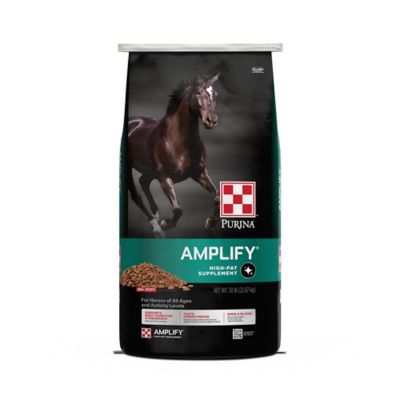 Purina Amplify High-Fat Horse Supplement, 10 pound Bag