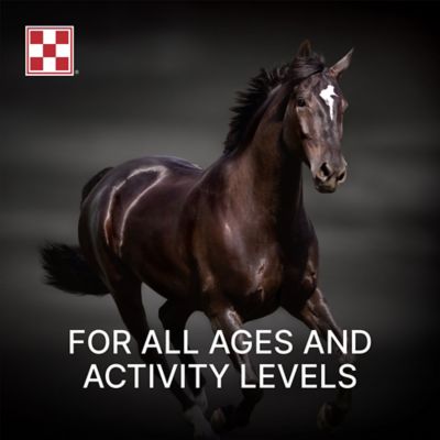 Image showing  Amplify High-Fat Horse Supplement