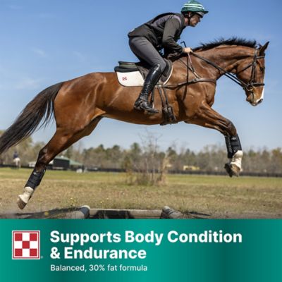 Image showing  Amplify High-Fat Horse Supplement