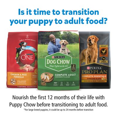 Image showing 9 th Purina Puppy Chow High-Protein Complete with Real Chicken Formula Dry Dog Food