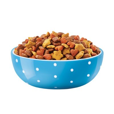 Image showing  High-Protein Complete with Real Chicken Formula Dry Dog Food