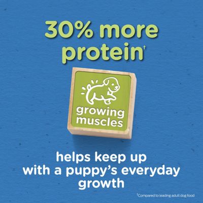 Image showing  High-Protein Complete with Real Chicken Formula Dry Dog Food