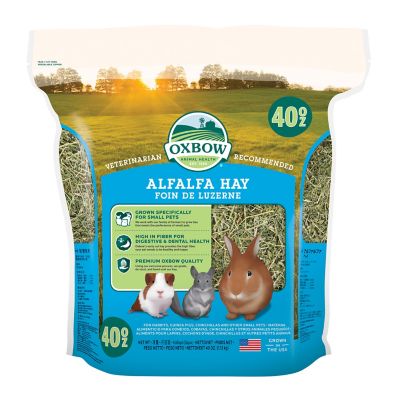 Oxbow Animal Health Alfalfa Hay Small Animal Treat, 40 oz.