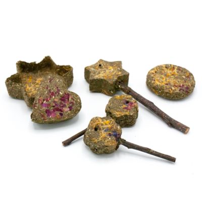 Image showing  Enriched Life - Timothy Party pk., 11197